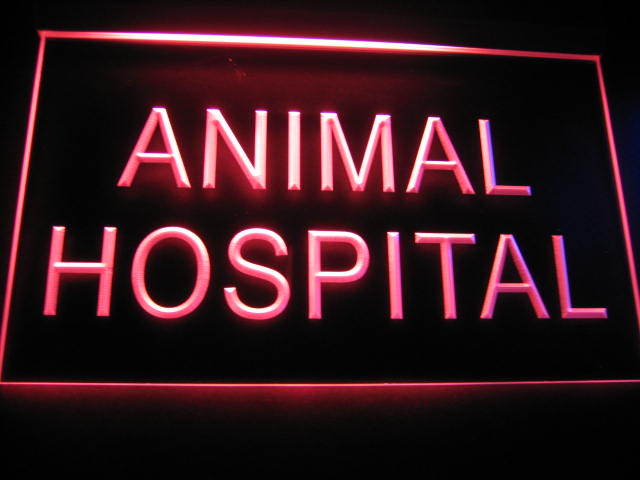 Animal Hospital Logo Neon Light Sign